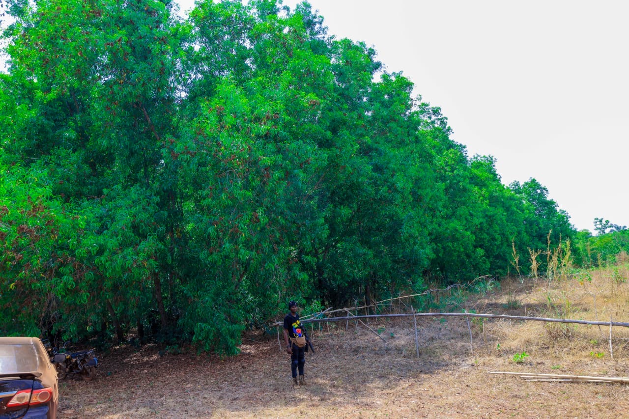 1000 square meters of land